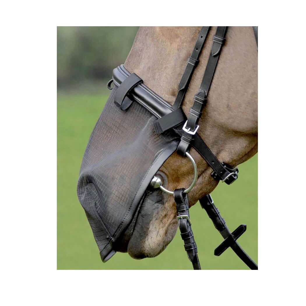Nose Fly Cover - Equestrian House